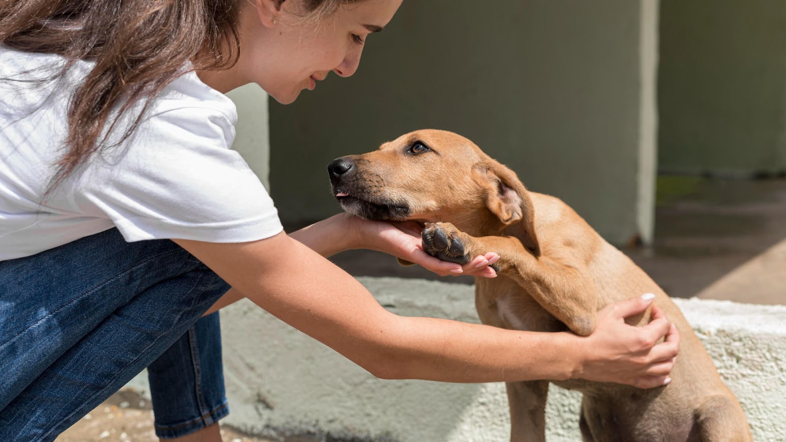 Photo of owner petting her dog