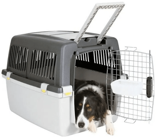 Illustrative image of a dog transport crate