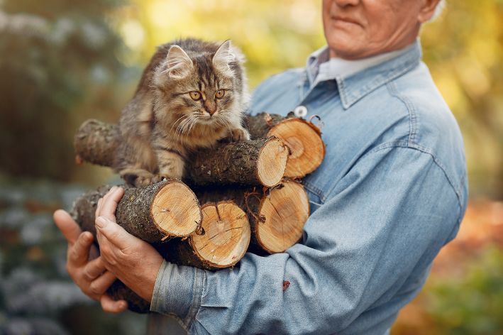 Elderly man with his cat and some wooden logs on his arm