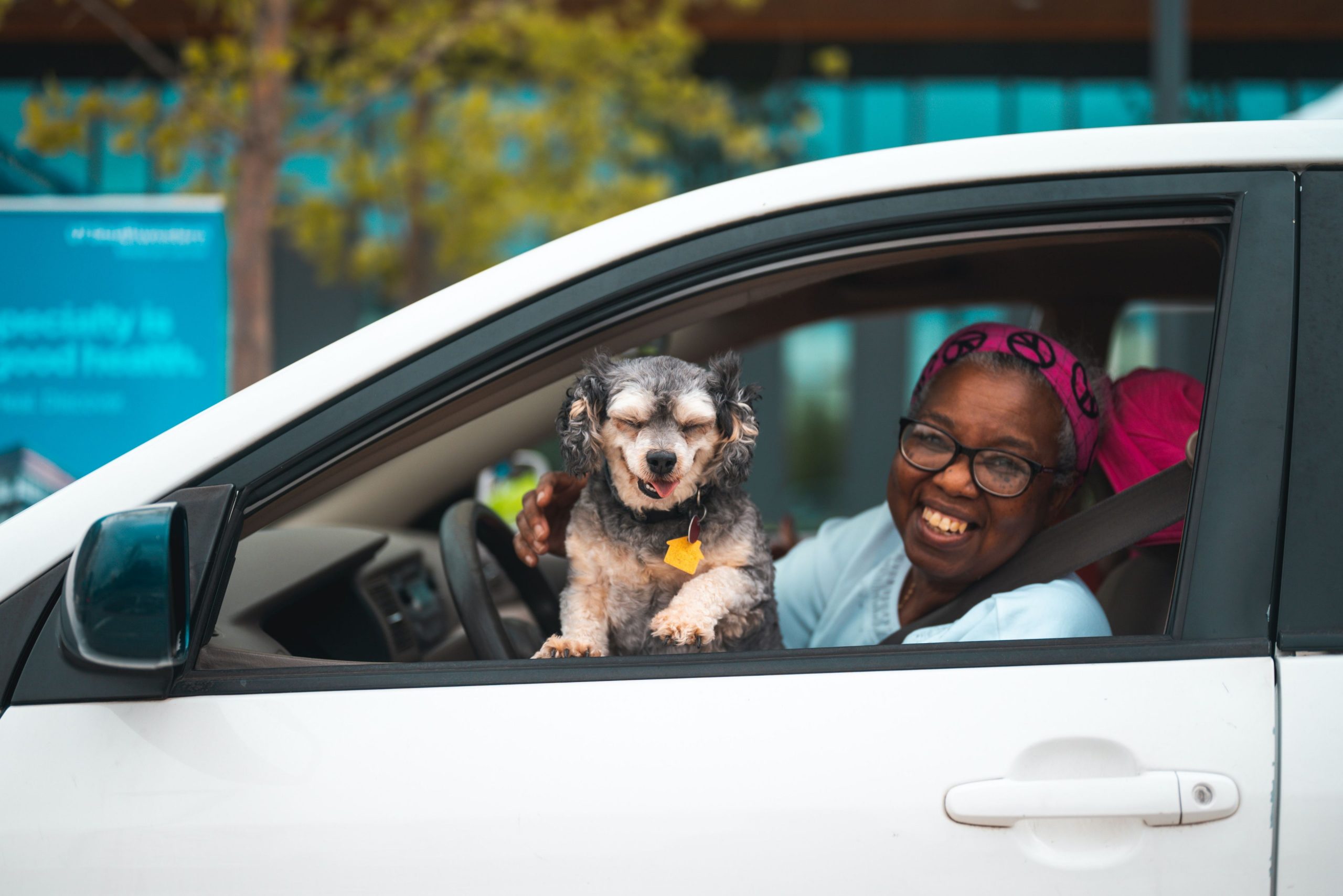 disease prevention in elderly animals