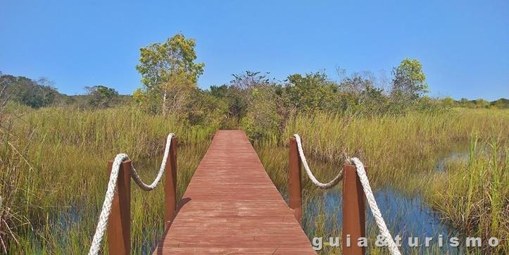 Paulo Cesar Vinha State Park