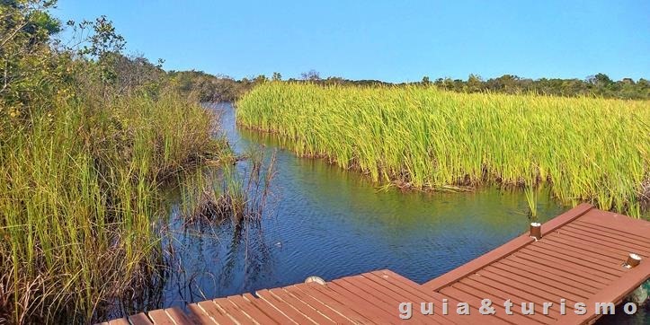 Paulo Cesar Vinha State Park