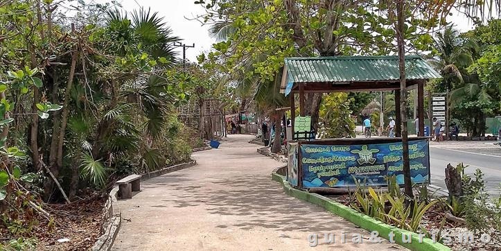 Akumal Beach