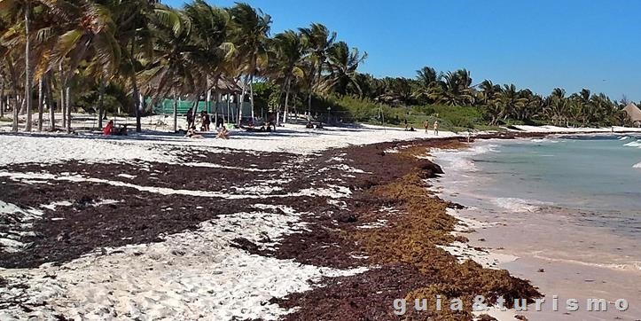 Playa del Carmen