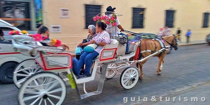 What to do in Merida, Mexico