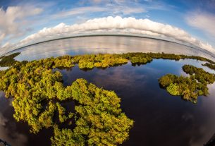 Curiosidades impressionantes sobre o nosso grande rio Amazonas que você vai gostar de saber…