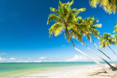 Photo of Praia do Patacho, in São Miguel dos Milagres, AL – Photo Credit: © Ricardo Junior Fotografias.com.br