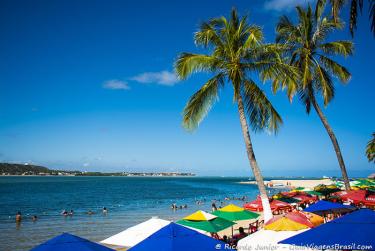 Photo of Praia do Gunga, in Barra de São Miguel, AL – Photo Credit: © Ricardo Junior Fotografias.com.br