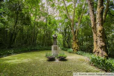 Photo of Bosque Papa João Paulo II, in Curitiba, PR – Photo Credit: © Ricardo Junior Fotografias.com.br