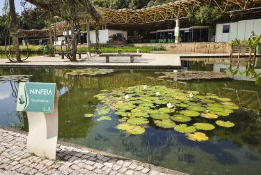 Foto del Parque das Mangabeiras, a Belo Horizonte, MG – Credito fotografico: © Ricardo Junior Fotografias.com.br