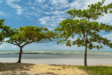 Photo de la plage d'Itacimirim, à Porto Seguro, BA – Crédit photo : © Ricardo Junior Fotografias.com.br