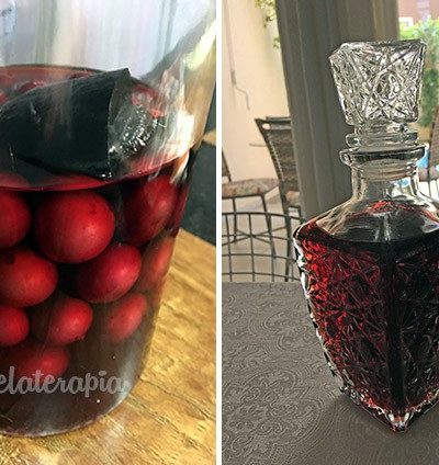 Jabuticaba Liqueur – Panelaterapia