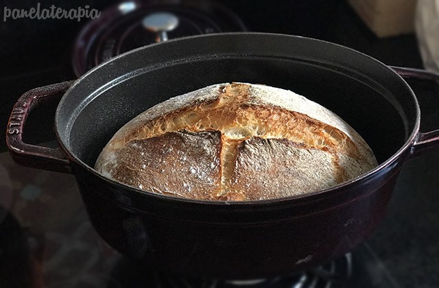 Bread Baked in a Pan – Panelaterapia