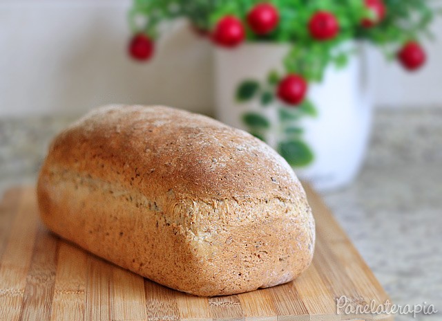 Fiber Bread – Panelaterapia