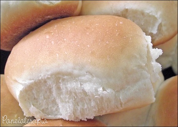 Very Fluffy Milk Bread!  – Panelaterapia