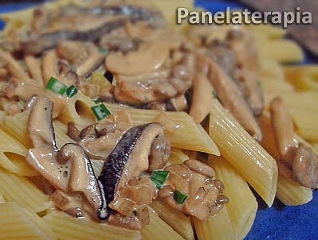 Penne with Mushroom Sauce – Panelaterapia