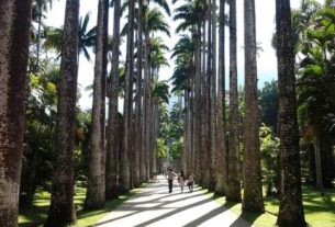 Onde comemorar o Dia Internacional da Mulher