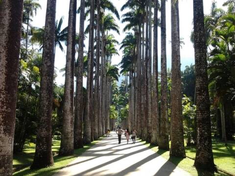 Onde comemorar o Dia Internacional da Mulher