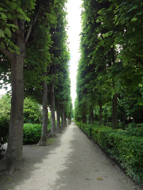 rodin museum 