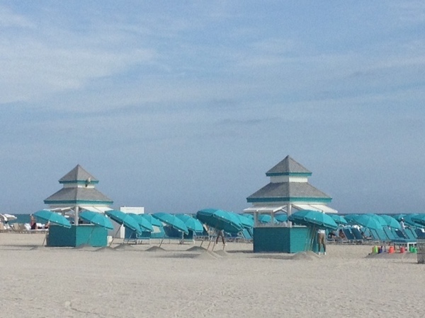 beach in miami