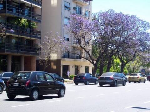 Buildings in Palermo