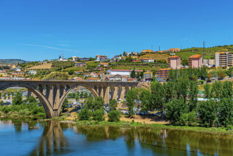 Wine festival in Portugal: Douro & Porto Wine