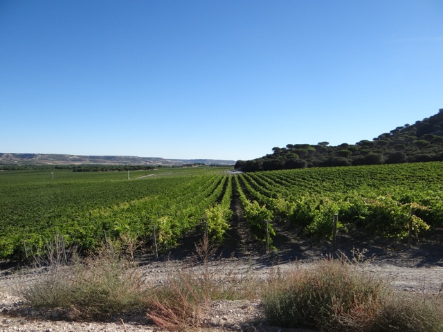 Abadia Retuerta L'Domaine