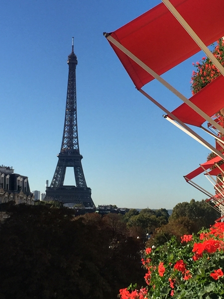 View from the room at the Hotel Plaza Athénée Paris