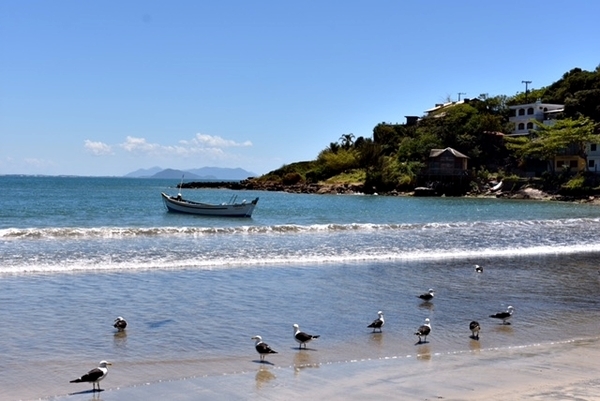 Garopaba Beach