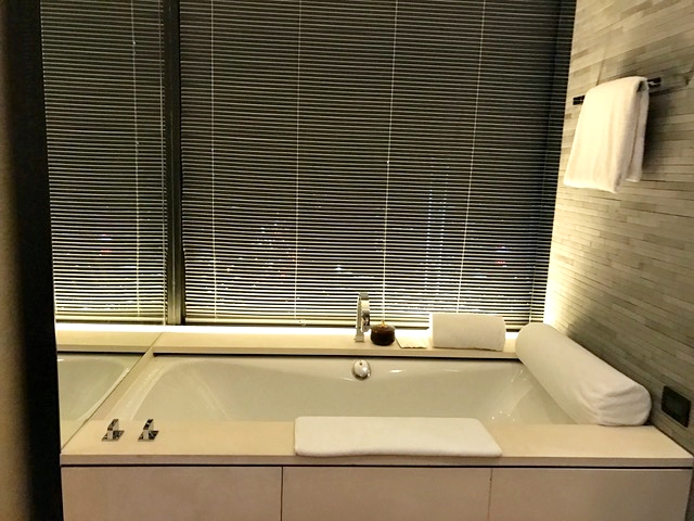 Bathtub at the window