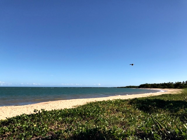 Empty beach