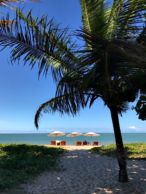 View from the hotel to the beach