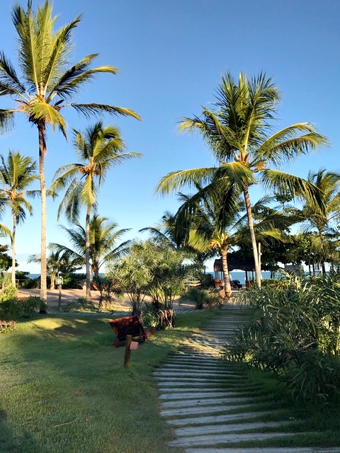 Lots of green in Campo Bahia