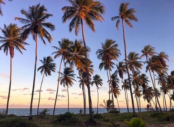 Hotel in Bahia