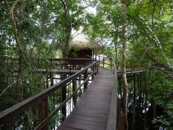 hotel in the amazon