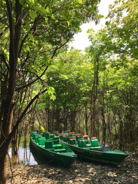 hotel in the amazon