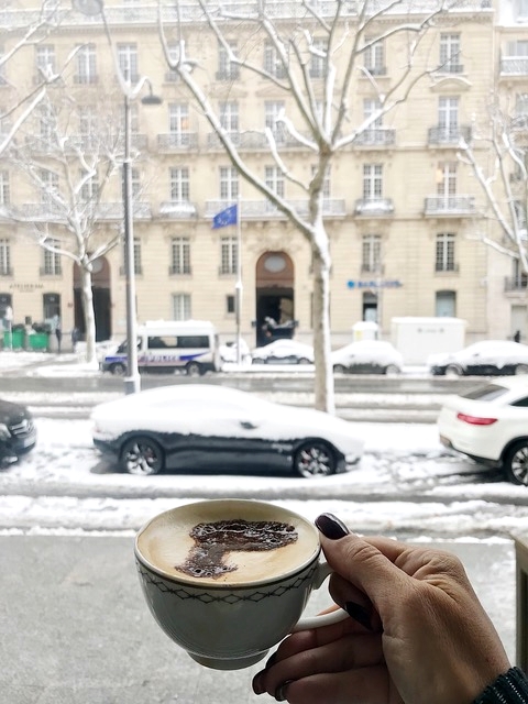 View of the Peninsula Paris with snow