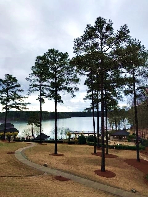 lakeside resort in Georgia 