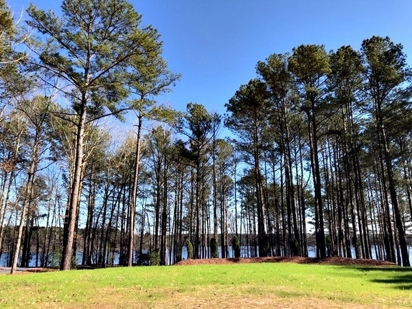 lakeside resort in Georgia 