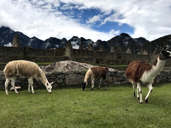 best hotel in Machu Picchu 