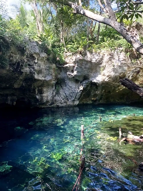 cenote