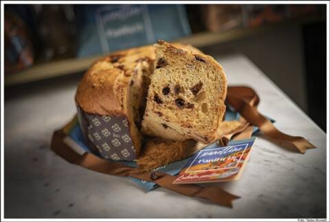 Where to buy Panettone