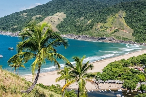 Ilhabela Shrimp Festival