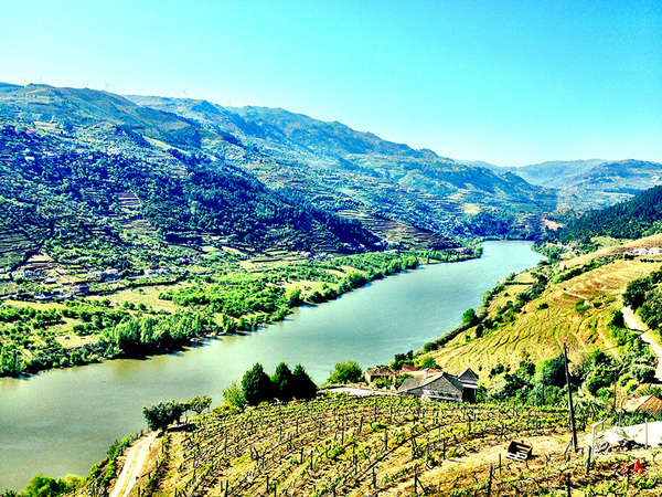 Douro