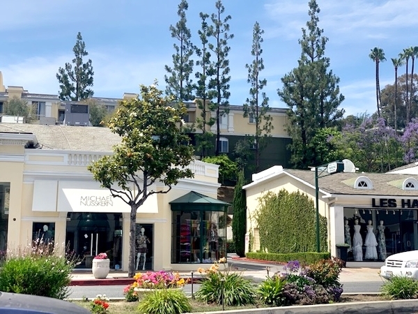 tree-lined street with shops