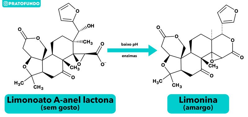 Simplified diagram of the transformation of limonoate into limonin.