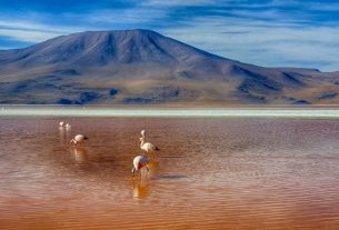 3 days by car through the Salar de Uyuni and the Bolivian desert: do you hold on or slow down?