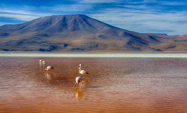 3 days by car through the Salar de Uyuni and the Bolivian desert: do you hold on or slow down?