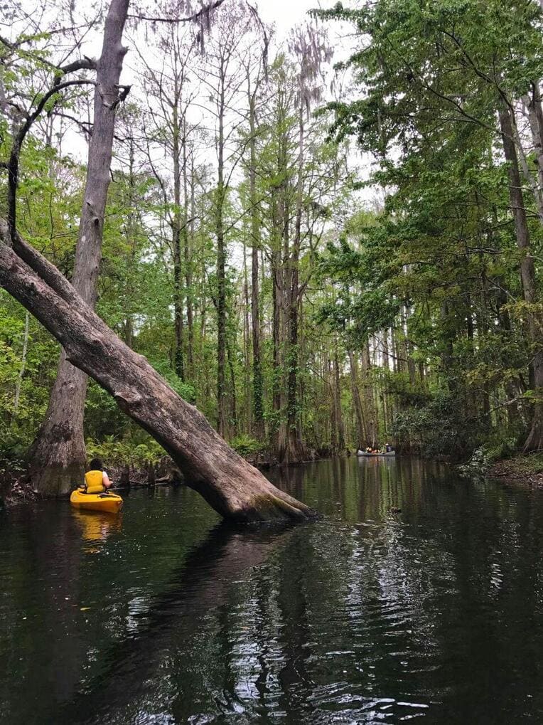 Kayaking near Disney, Orlando