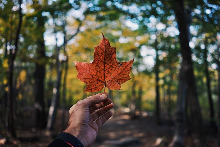 5 Best Provinces and Cities to Vacation in Canada...from Coast to Coast